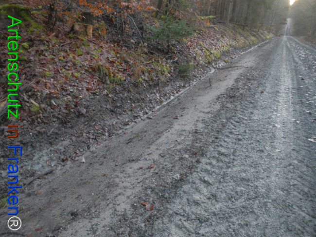 Bild zum Eintrag (1132097-160)