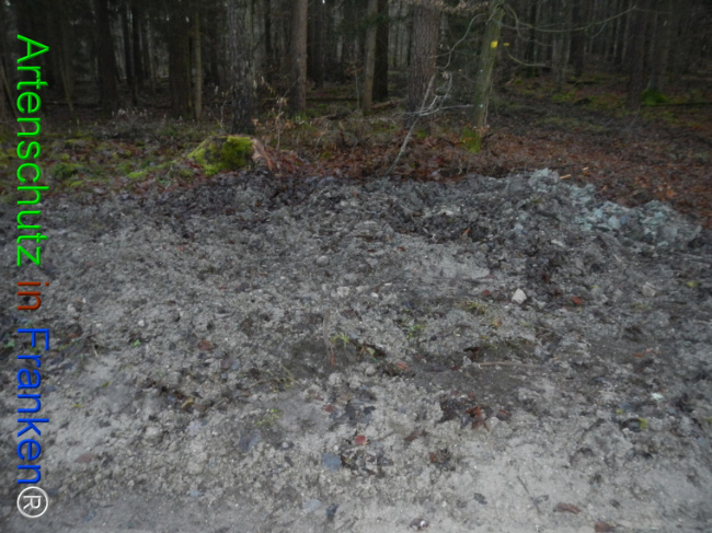 Bild zum Eintrag (1132100-160)