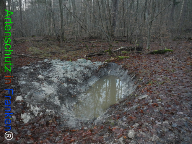 Bild zum Eintrag (1132101-160)