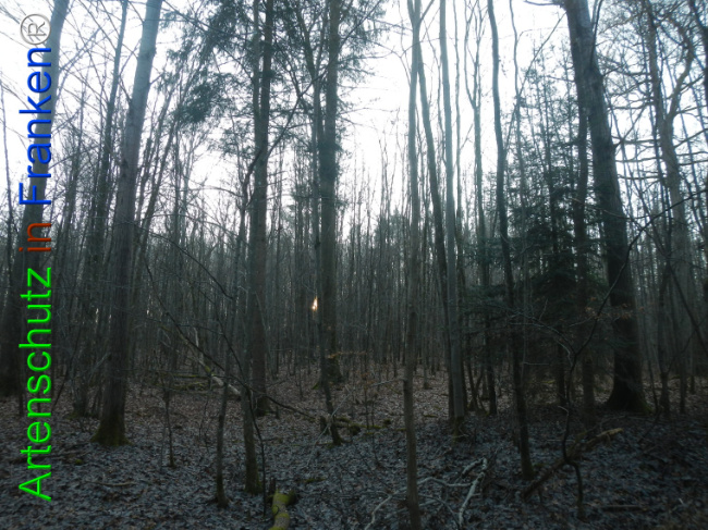 Bild zum Eintrag (1132151-160)