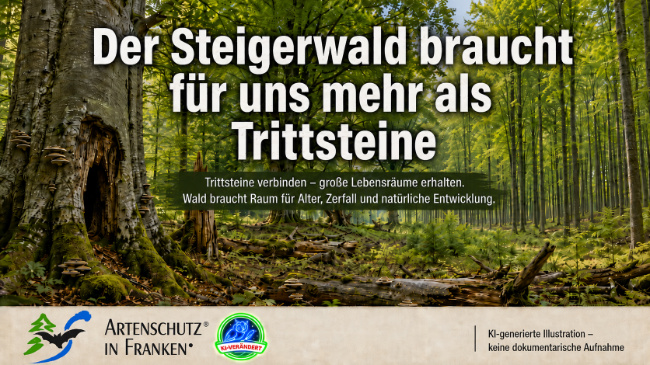 Bild zum Eintrag (1147073-160)