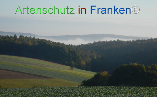 Bild zum Eintrag (1150850-160)