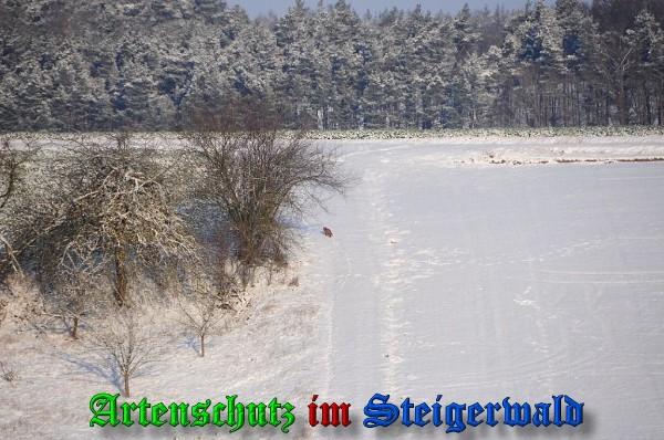 Copyright AiS / 2010 - Rother Bild zum Eintrag (21878-160)