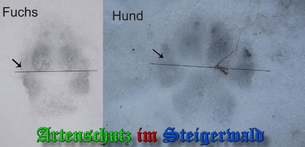 Copyright AiS / 2010 - Rother Bild zum Eintrag (21879-160)