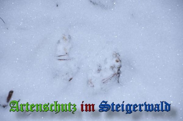 Copyright AiS / 2010 - Rother Bild zum Eintrag (21891-160)