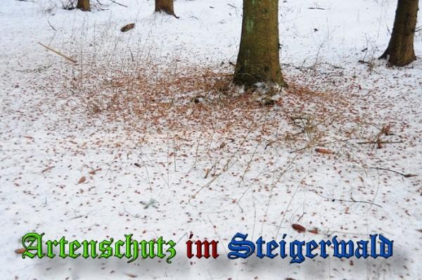 Copyright AiS / 2010 - Rother Bild zum Eintrag (21892-160)