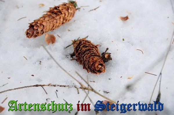 Copyright AiS / 2010 - Rother Bild zum Eintrag (21895-160)