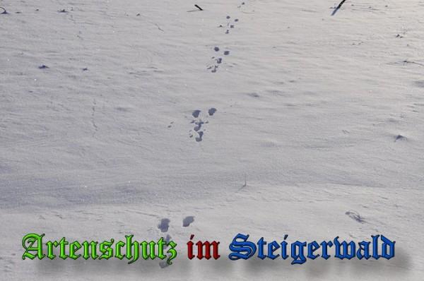 Copyright AiS / 2010 - Rother Bild zum Eintrag (21898-160)