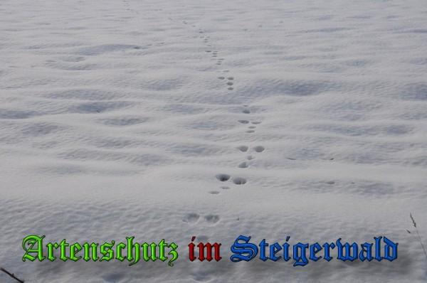 Copyright AiS / 2010 - Rother Bild zum Eintrag (21899-160)