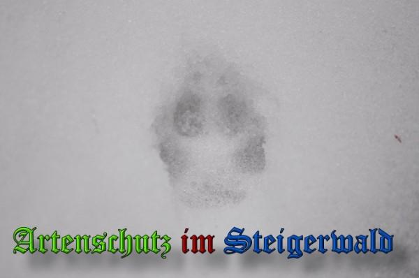 Copyright AiS / 2010 - Rother Bild zum Eintrag (21903-160)