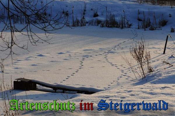 Copyright AiS / 2010 - Rother Bild zum Eintrag (21904-160)
