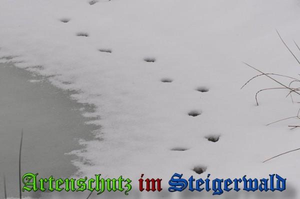 Copyright AiS / 2010 - Rother Bild zum Eintrag (21905-160)