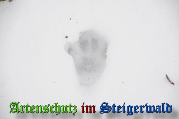 Bild zum Eintrag (21910-160)