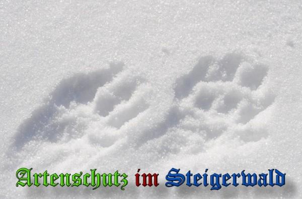 Copyright AiS / 2010 - Rother Bild zum Eintrag (21913-160)