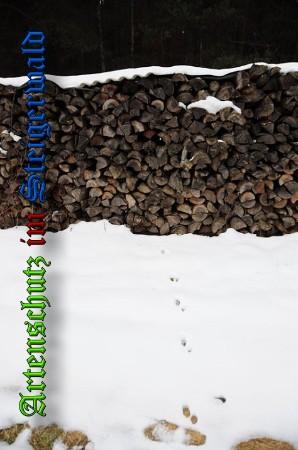Copyright AiS / 2010 - Rother Bild zum Eintrag (21914-160)