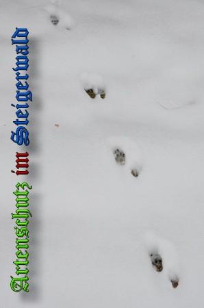 Copyright AiS / 2010 - Rother Bild zum Eintrag (21915-160)