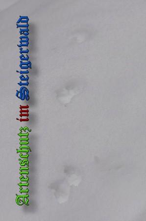 Copyright AiS / 2010 - Rother Bild zum Eintrag (21916-160)