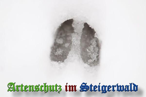 Copyright AiS / 2010 - Rother Bild zum Eintrag (21918-160)