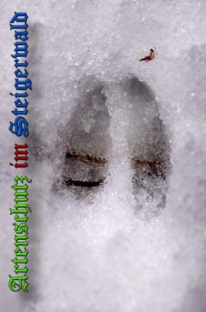 Copyright AiS / 2010 - Rother Bild zum Eintrag (21919-160)