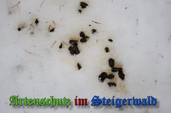 Copyright AiS / 2010 - Rother Bild zum Eintrag (21920-160)