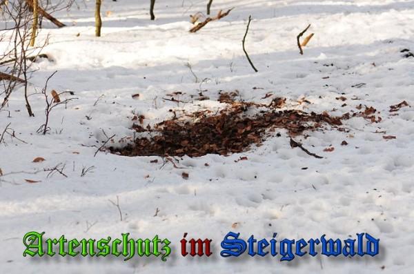 Copyright AiS / 2010 - Rother Bild zum Eintrag (21921-160)