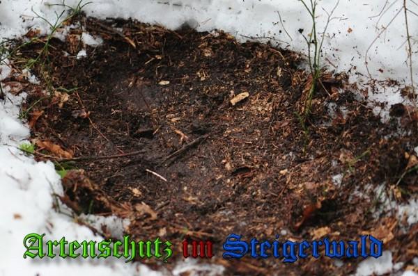 Copyright AiS / 2010 - Rother Bild zum Eintrag (21923-160)