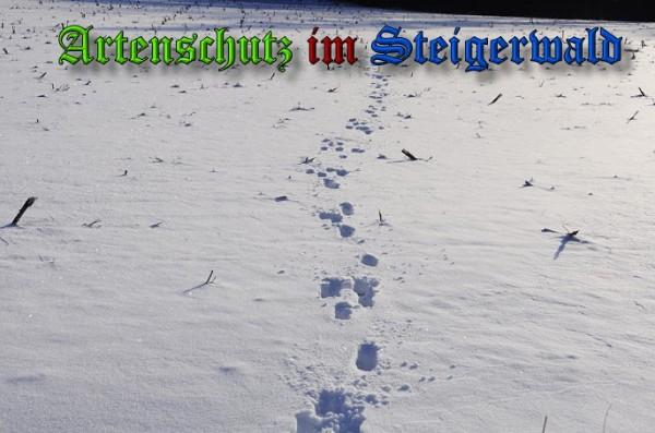 Copyright AiS / 2010 - Rother Bild zum Eintrag (21926-160)