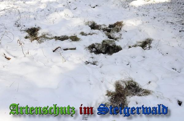 Copyright AiS / 2010 - Rother Bild zum Eintrag (21927-160)