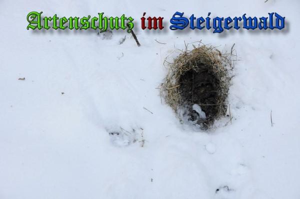Copyright AiS / 2010 - Rother Bild zum Eintrag (21928-160)