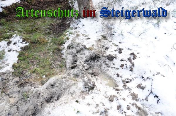 Copyright AiS / 2010 - Rother Bild zum Eintrag (21930-160)