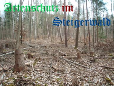 Copyright AiS / Koch Bild zum Eintrag (21935-160)