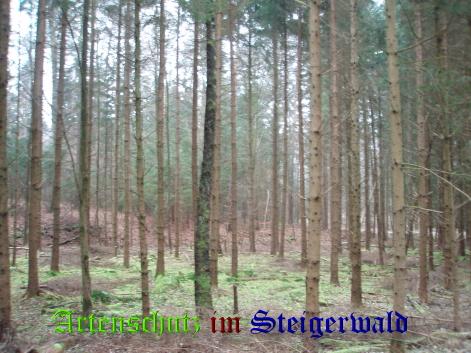 Copyright AiS / Böhm Bild zum Eintrag (21936-160)