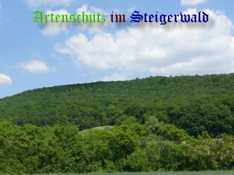 Copyright AiS / Harald Heier Bild zum Eintrag (22288-160)