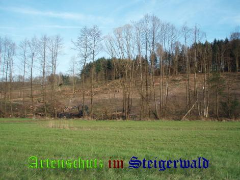 Copyright AiS / Petra Mai Bild zum Eintrag (22289-160)