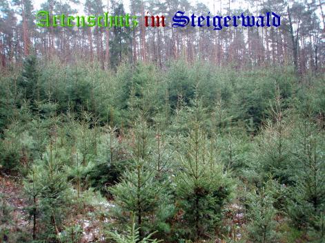 Copyright AiS / Baumann C. Bild zum Eintrag (22296-160)