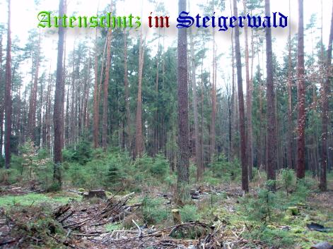 Copyright AiS / Baumann C. Bild zum Eintrag (22298-160)