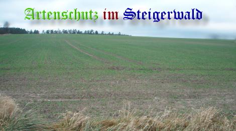 Copyright AiS / Mathias Deinlein Bild zum Eintrag (22299-160)