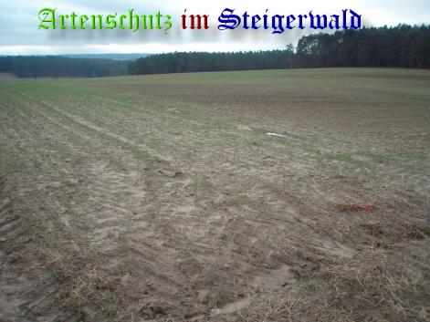 Bild zum Eintrag (22300-160)