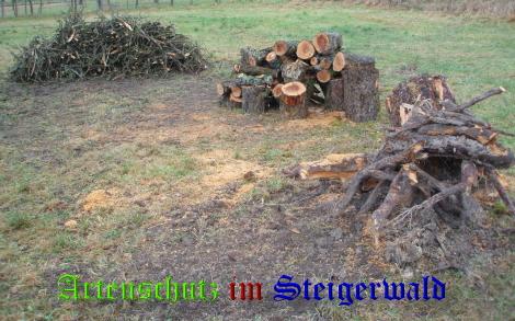 Copyright AiS / Weidner Bild zum Eintrag (22308-160)