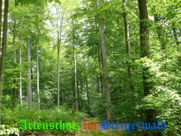 Copyright AiS / Schneier Bild zum Eintrag (22312-160)