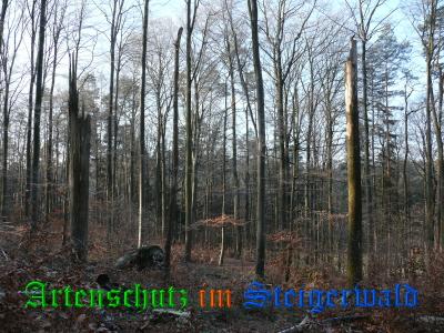 Copyright AiS / Weidner Bild zum Eintrag (22319-160)