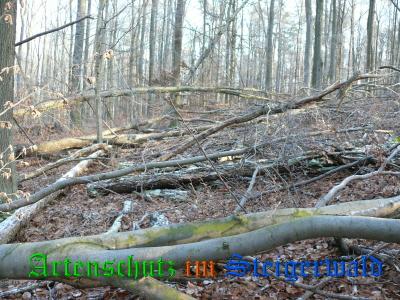 Copyright AiS / Weidner K. Bild zum Eintrag (22322-160)