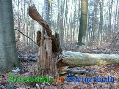 Copyright AiS / Leicht Bild zum Eintrag (22330-160)