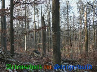 Copyright AiS / Weidner Bild zum Eintrag (22332-160)