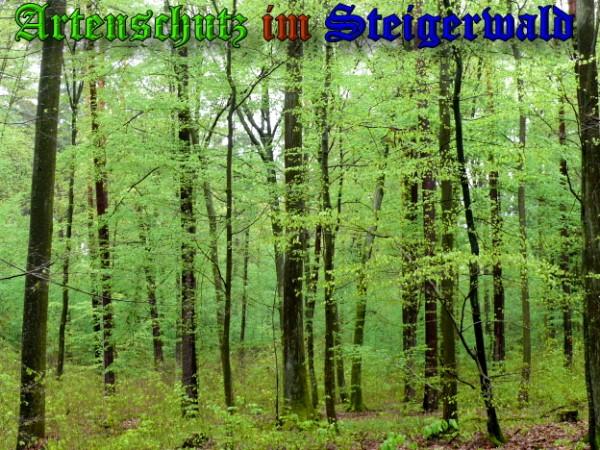 Copyright AiS / 2009 Bild zum Eintrag (22361-160)