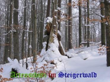 Copyright AiS / Koch Bild zum Eintrag (22389-160)