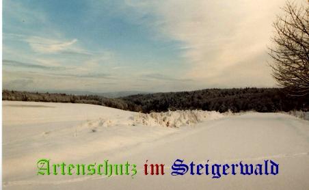 Copyright AiS / M. Köhler Bild zum Eintrag (22390-160)