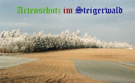 Copyright AiS / M. Köhler Bild zum Eintrag (22392-160)