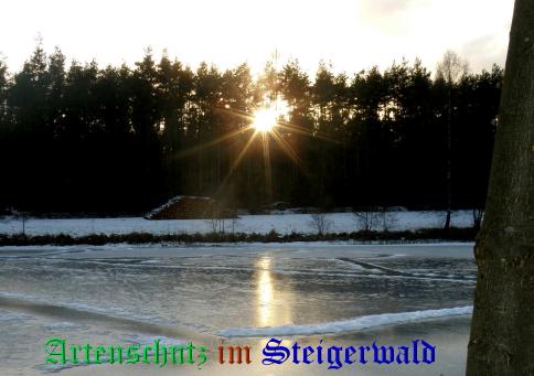 Copyright AiS / Albert Meier Bild zum Eintrag (22401-160)