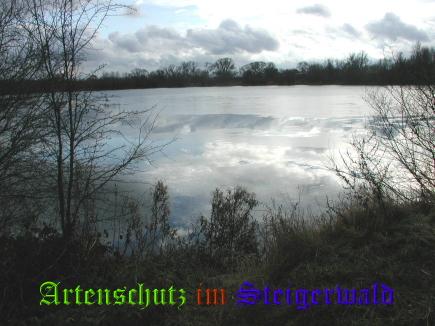 Copyright AiS / Albert Meier Bild zum Eintrag (22404-160)